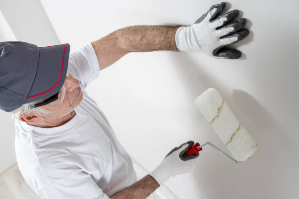Best Black Mold Removal  in Vilge St George, LA