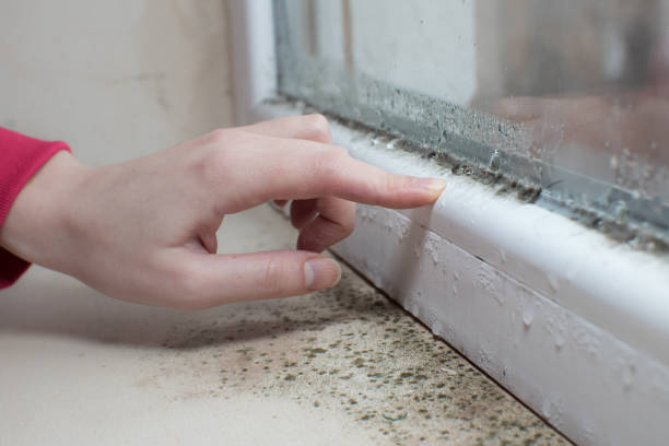 Best Air Quality Testing for Mold Spores  in Vilge St George, LA